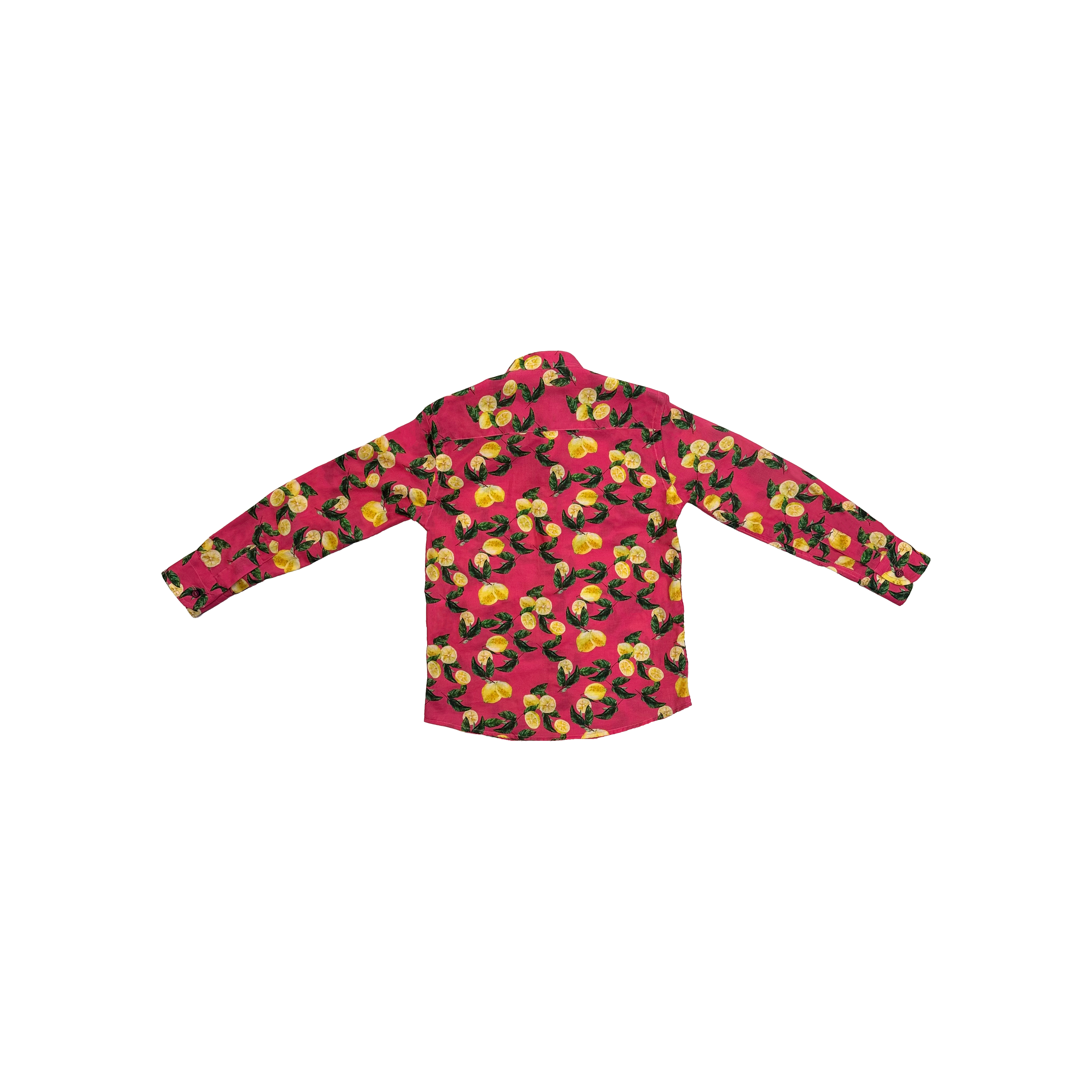 Neill Katter Camicia Limoni Italy