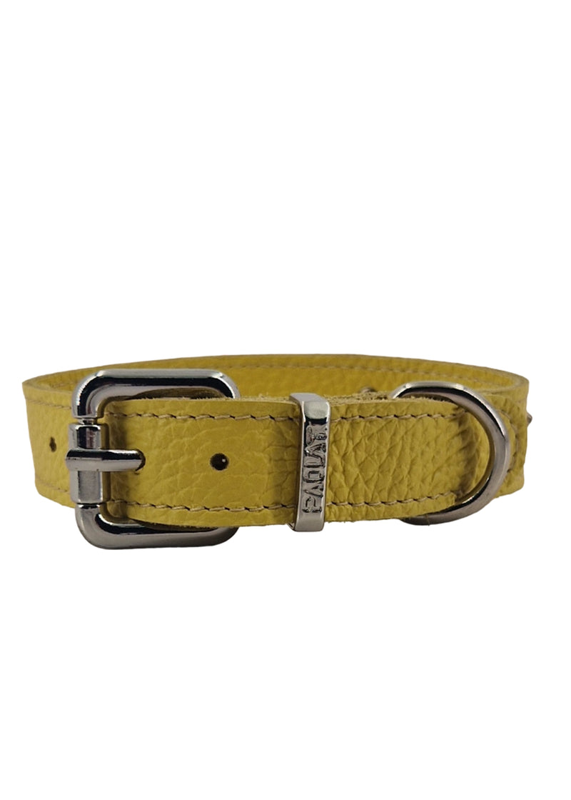 Paola T. Collare stella Sconto