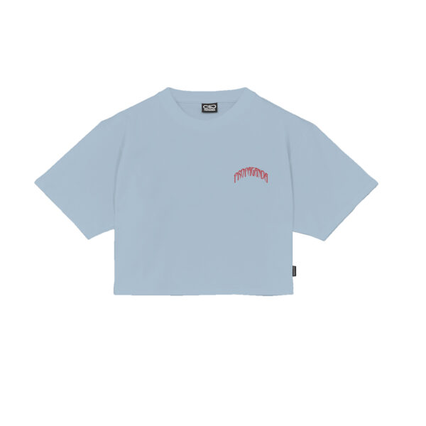 Propaganda Triangle Bengala Crop Top Tee – Sky Vendite Flash