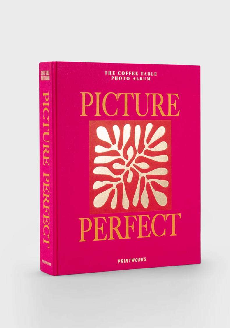 Rose & Lini PRINTWORKS “PICTURE PERFECT” PHOTO ALBUM Promozione Limitata