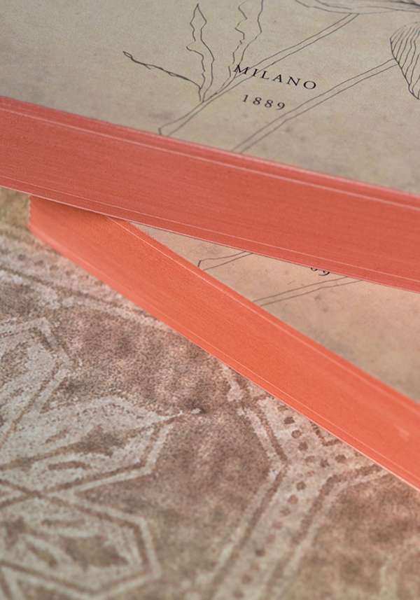 Rose & Lini SLOW DESIGN “LIBRI MUTI” IL PIACERE Affare Del Giorno