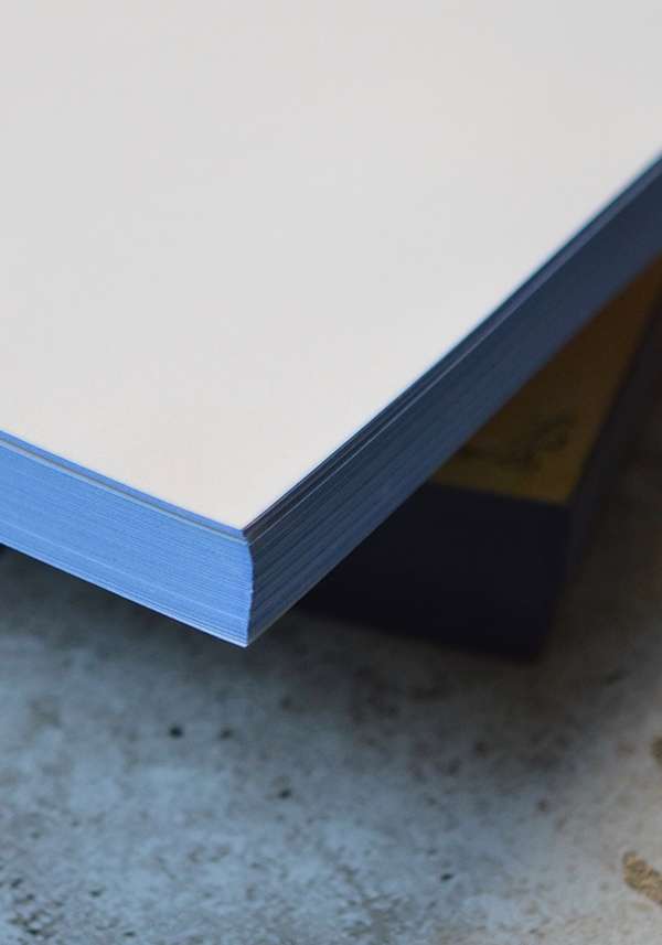 Rose & Lini SLOW DESIGN “LIBRI MUTI” LES FLEURS DU MAL Economico