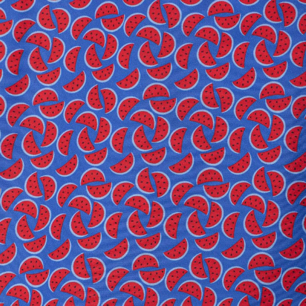 Rubinacci Costume angurie blu Italy