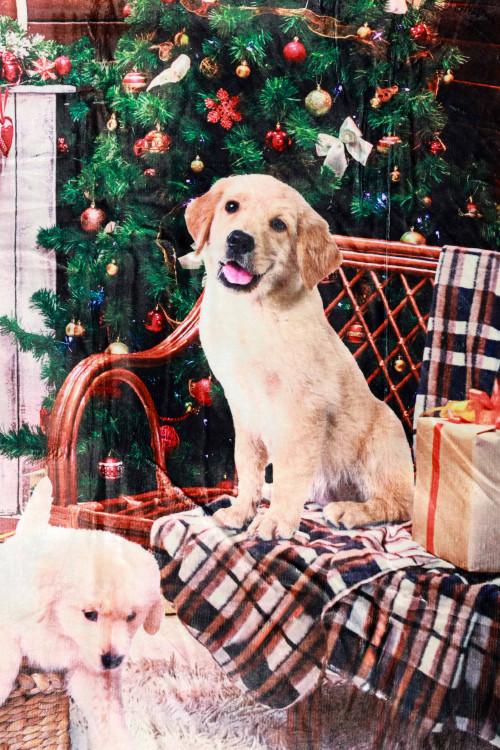 Susy Mix Plaid Stampa Cane Italia