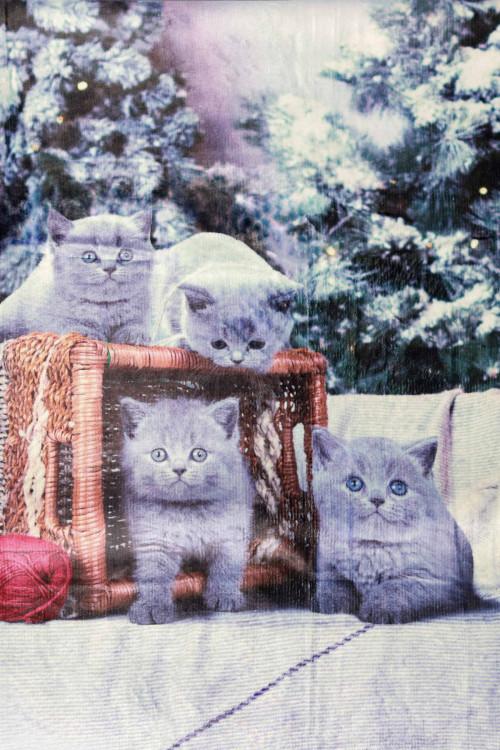 Susy Mix Plaid Stampa Gatto 2025